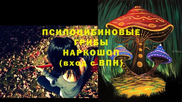 гидра Заволжье