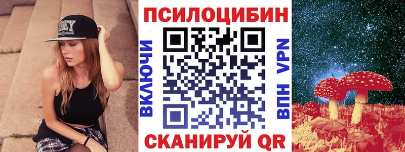 omg Заводоуковск Псилоцибиновые грибы Psilocybe