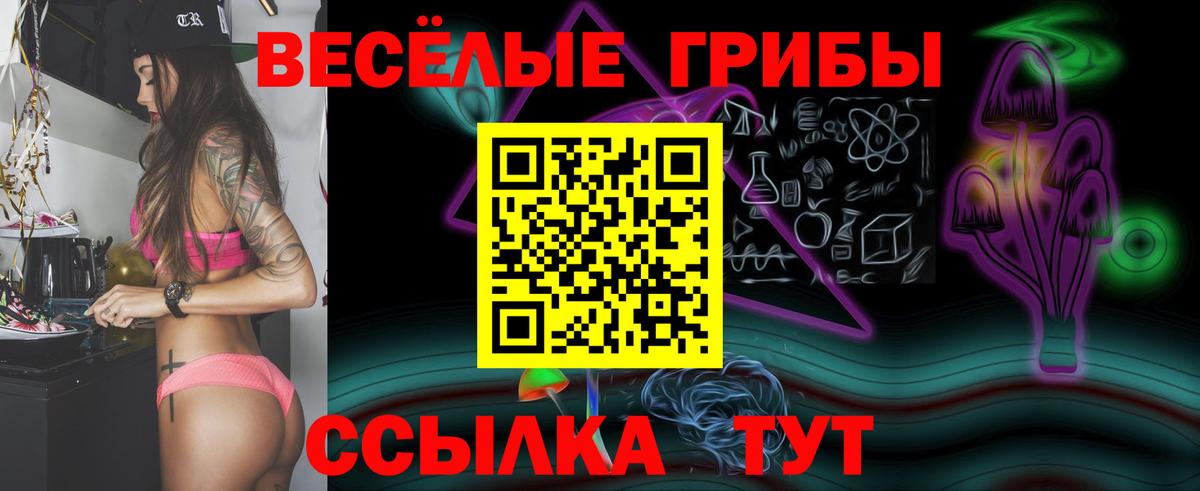 Псилоцибиновые грибы Magic Shrooms Заводоуковск